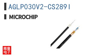 AGLP030V2-CS289I