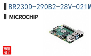 BR230D-290B2-28V-021M