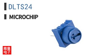 DLTS24
