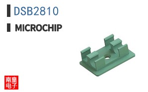 DSB2810