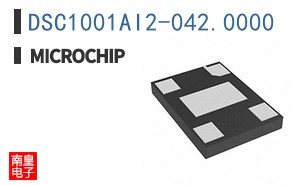 DSC1001AI2-042.0000