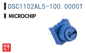 DSC1102AL5-100.0000T
