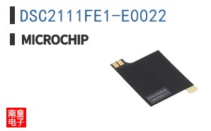 DSC2111FE1-E0022