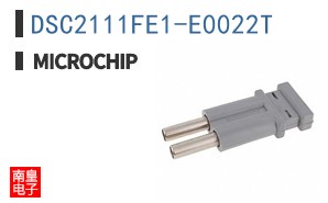 DSC2111FE1-E0022T