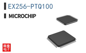 EX256-PTQ100