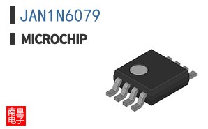 JAN1N6079