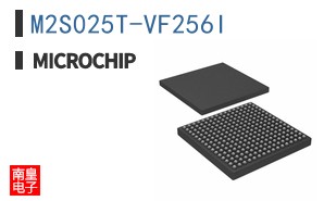 M2S025T-VF256I