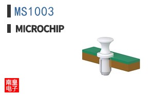MS1003