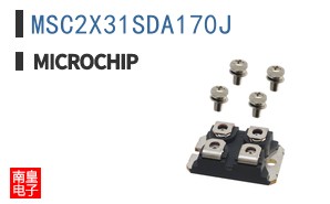 MSC2X31SDA170J