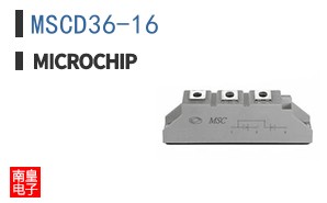 MSCD36-16