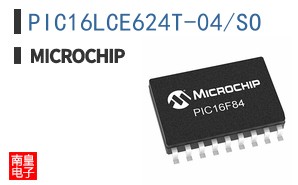 PIC16LCE624T-04/SO