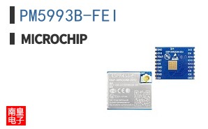 PM5993B-FEI