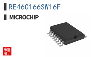 RE46C166SW16F