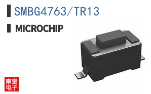 SMBG4763/TR13