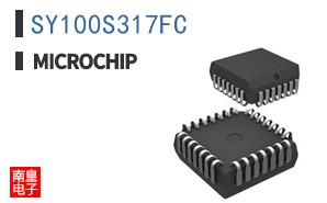 SY100S317FC