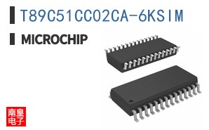 T89C51CC02CA-6KSIM